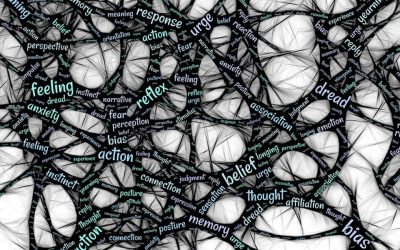 Ainace, neurociencia, comunicación y economía