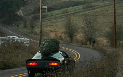 Si bebes, no conduzcas