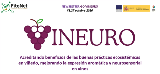 Vino e identidad sensorial